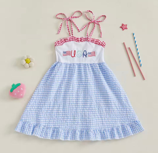 USA Gingham Dress